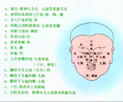 长痘痘的位置图解